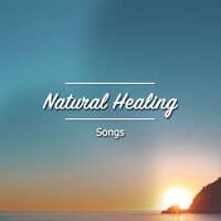 17 Canciones de Sanación Natural para Terapia de Relajación