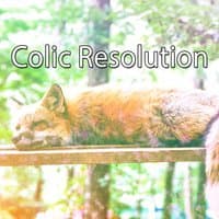 Colic Resolution