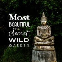 Most Beautiful Secret Wild Garden