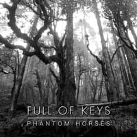 Phantom Horses