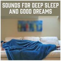 Sounds for Deep Sleep and Good Dreams: Zen Garden, New Age, Nature Sounds, Welness, Massage, Relax, Calm Music, Prayer, Yoga Time