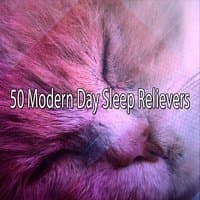 50 Modern Day Sleep Relievers