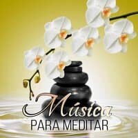 Música para Meditar -  Música de Ambiente para Hilo Musical con Sonidos de la Naturaleza, Música para Relajación, Musica Relajante para Clases de Yoga, Musica de Piano para el Resto