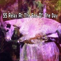 55 Relax At The End Of The Day