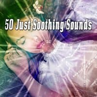 50 Just Soothing Sounds