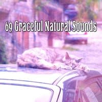 69 Graceful Natural Sounds