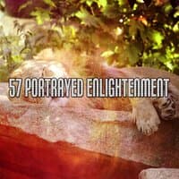 57 Portrayed Enlightenment