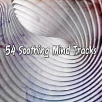 54 Soothing Mind Tracks