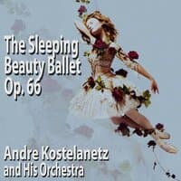 Tchaikovsky: The Sleeping Beauty Ballet, Op. 66