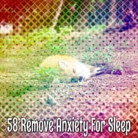 58 Remove Anxiety For Sleep