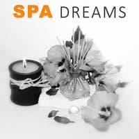 Spa Dreams – Healing Nature Sounds, New Age Calm Sounds, Spa Nature Music, Pure Relaxation, Massage Therapy