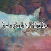 Resolving Sounds For A Natural Sleep