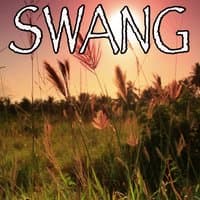 Swang - Tribute to Rae Sremmurd