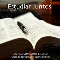 Estudiar Juntos: Musicas Calmas, Sons de Natureza e Instrumental