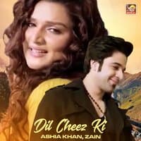 Dil Cheez Ki - Single