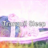 Tranquil Sleep