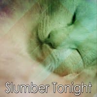 Slumber Tonight