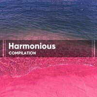 Harmonious Compilation