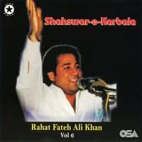 Shahswar-e-Karbala, Vol. 6