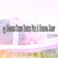 43 Bedtime Songs Tracks For A Restful Sleep