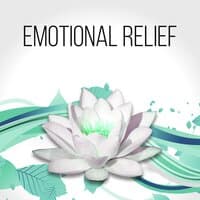 Emotional Relief - Bright Side of Life & Healing Touch, Massage Therapy, Instrumental Relaxing Music for Meditation, Spa & Yoga, Sound Therapy for Stress Relief, In Harmony with Nature Sounds