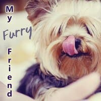 My Furry Friend - Stress Relief, Sleep Aids, Music Therapy for Dogs, Comfort and Happiness with Nature Sounds