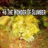 46 The Wonder Of Slumber