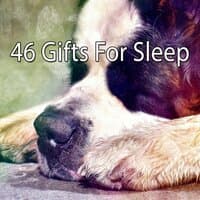 46 Gifts for Sleep