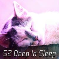 52 Deep In Sleep