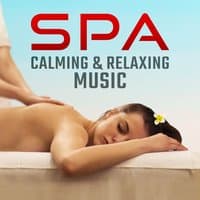 Spa Calming & Relaxing Music: Natural Sounds, Deep Sleep, Meditation, Prayer, Zen Garden, Chackra Balancing