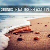 Sounds of Nature Relaxation – Mind and Body Harmony, Sensual Massage Music for Aromatherapy, Music for Healing Through Sound and Touch, Relaxing Background Music for Spa, Yoga & Meditation