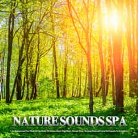 Nature Sounds Spa: Calm Background Flute Music For Spa Music, Meditation Music, Yoga Music, Massage Music, Sleeping Music and Forest Bird Sounds For Relaxation