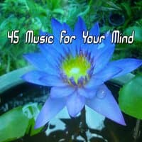 45 Music for Your Mind