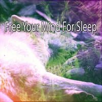 Free Your Mind For Sleep