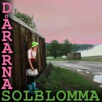 Dårarna