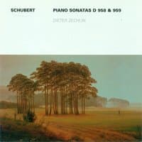 Franz Schubert: Piano Sonatas Nos. 19 and 20 (Zechlin)