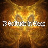 78 Solitude in Sleep