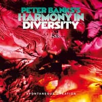 Peter Banks's Harmony in Diversity: Spontaneous Creation