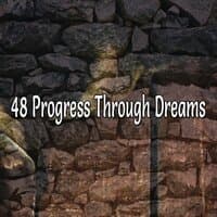 48 Progress Through Dreams