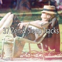 37 Zen & Sleep Tracks