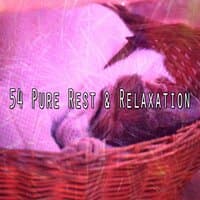 54 Pure Rest & Relaxation