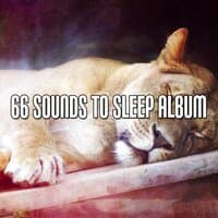 66 Sounds To Sleep Album