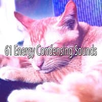 61 Energy Condensing Sounds