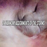 24 Harmony Assignments Of The Storms