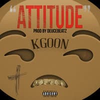 Attitude