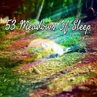 53 Meadows Of Sleep