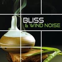 Bliss & Wind Noise – Music for Relaxation & Meditation, Sleep Song, Lucid Dream, Binaural Beats with Delta Waves