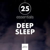 25 Essential Songs for Deep Sleep - Nature Sounds, Piano Music, Meditation Music