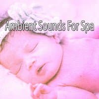 Ambient Sounds For Spa