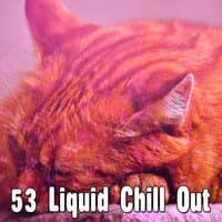 53 Liquid Chill Out